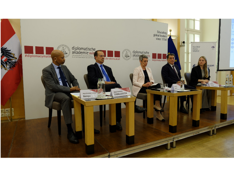 Beyond the RevCon: Leveraging Nuclear-Weapon-Free Zones for Risk Reduction