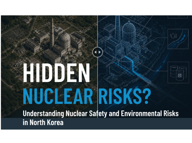 DPRK Report Launch Webinar