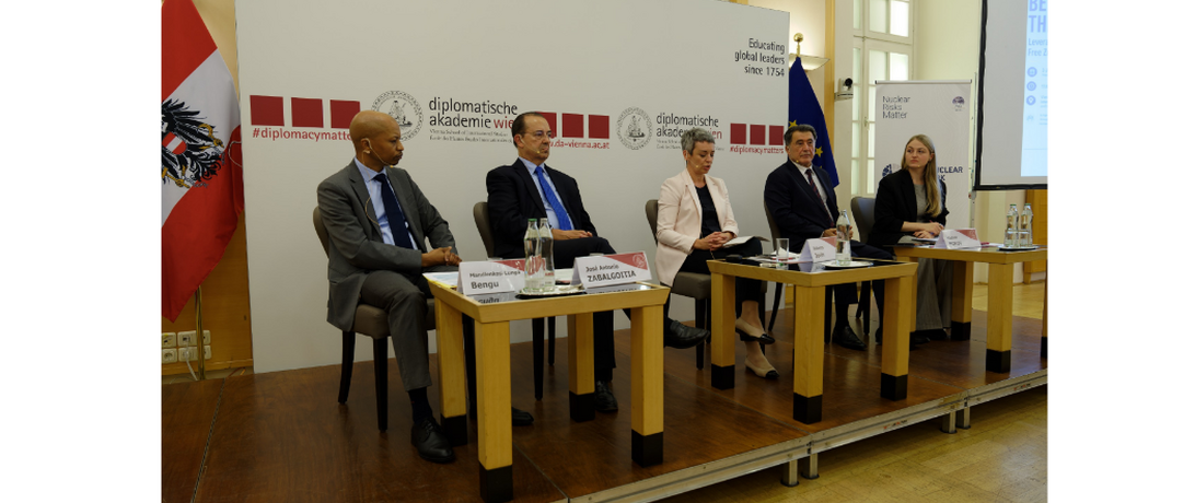 Beyond the RevCon: Leveraging Nuclear-Weapon-Free Zones for Risk Reduction